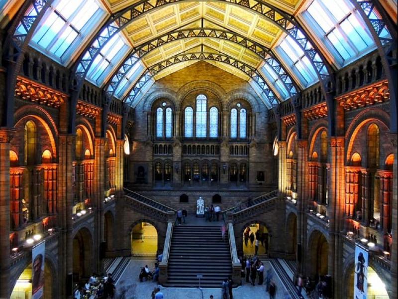 Musée d'Histoire Naturelle de Londres