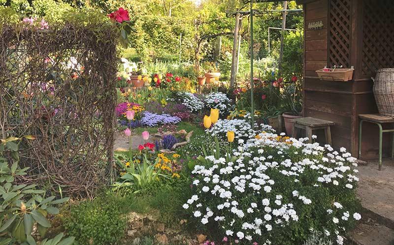 Jardin ouvrier dans la cité-jardin de la Butte-Rouge Châtenay-Malabry 2019  ©  Azadeh AC,  CC-BY-SA-4.0