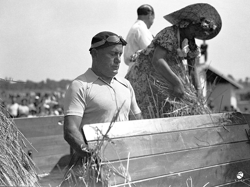 Benito Mussolini participe au battage avec les paysans de l’Agro Pontino en 1934. © Archivio Luce