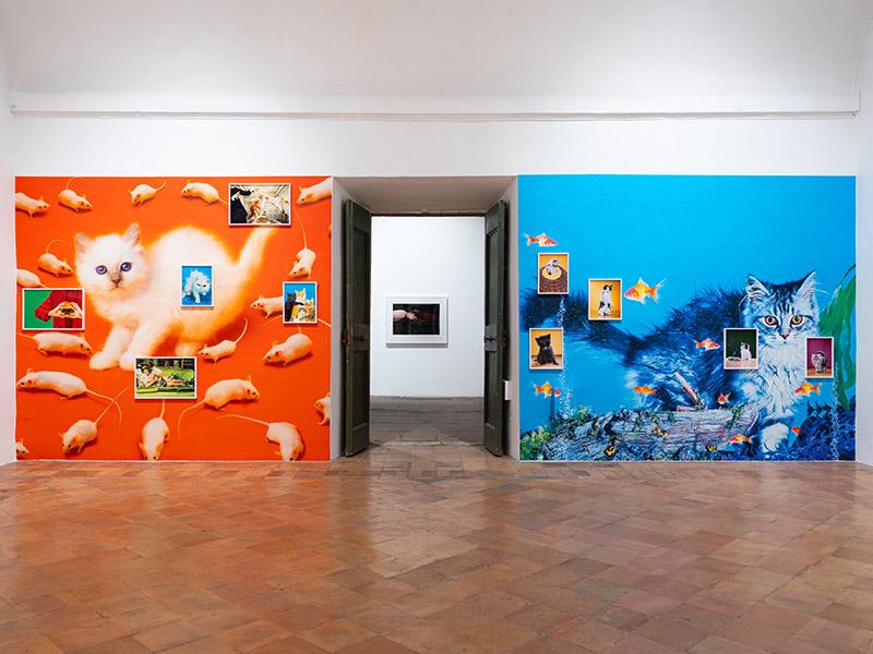 Vue de l'exposition CHROMOTHERAPIA : La photographie couleur qui vous fait du bien à la Villa Médicis. © Daniele Molajoli