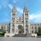 Le Muséum d'Histoire naturelle de Londres. 